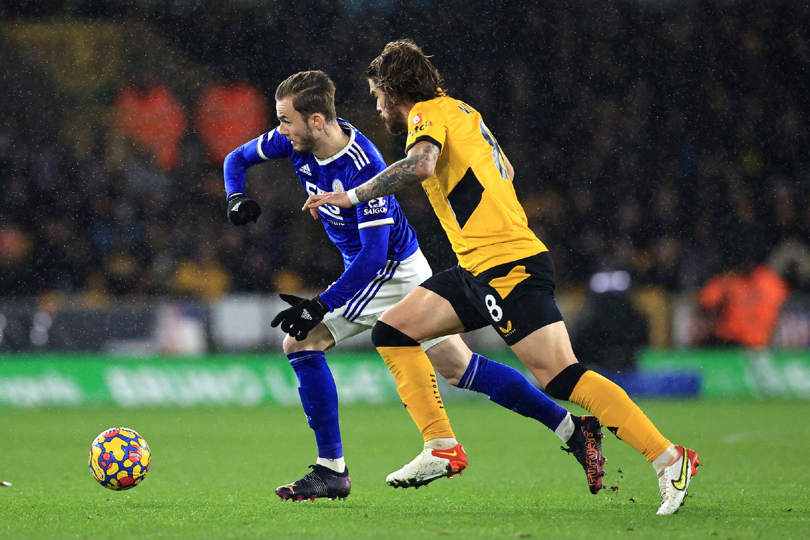 之间生存竞 之间生存竞